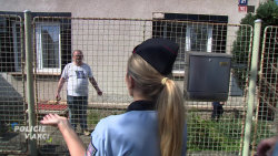 Policie v akci