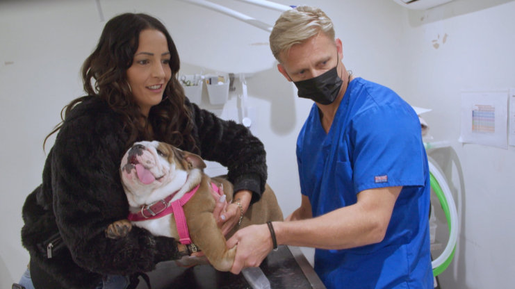 Veterinář z Bondi Beach S11 (7)