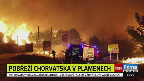ZPRÁVY, 15.8. v 11:00
