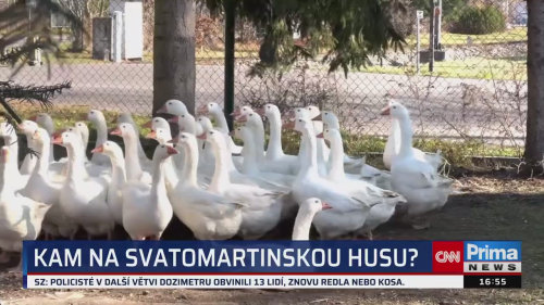 ZPRÁVY Z REGIONŮ - 7.11. v 16:55