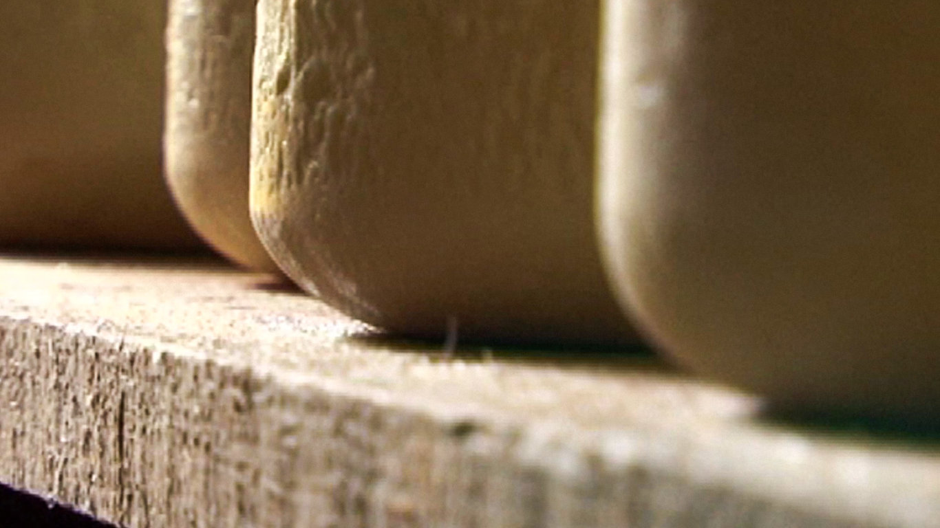 Slow Food: Pocta pomalosti