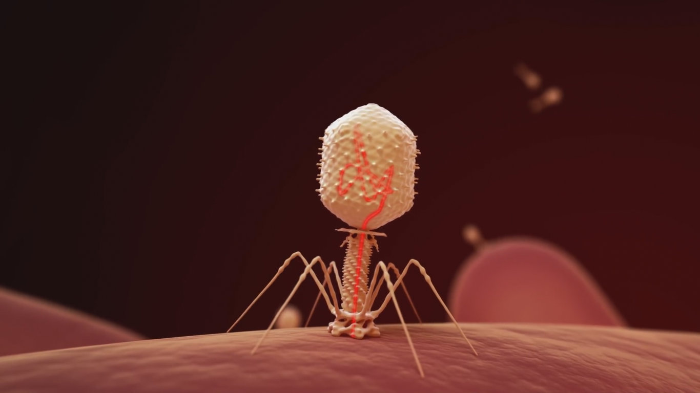 Virus Zoom In Virus v nás - Prima Zoom