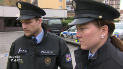 Policie v akci