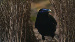 Nejdivočejší místa naší planety