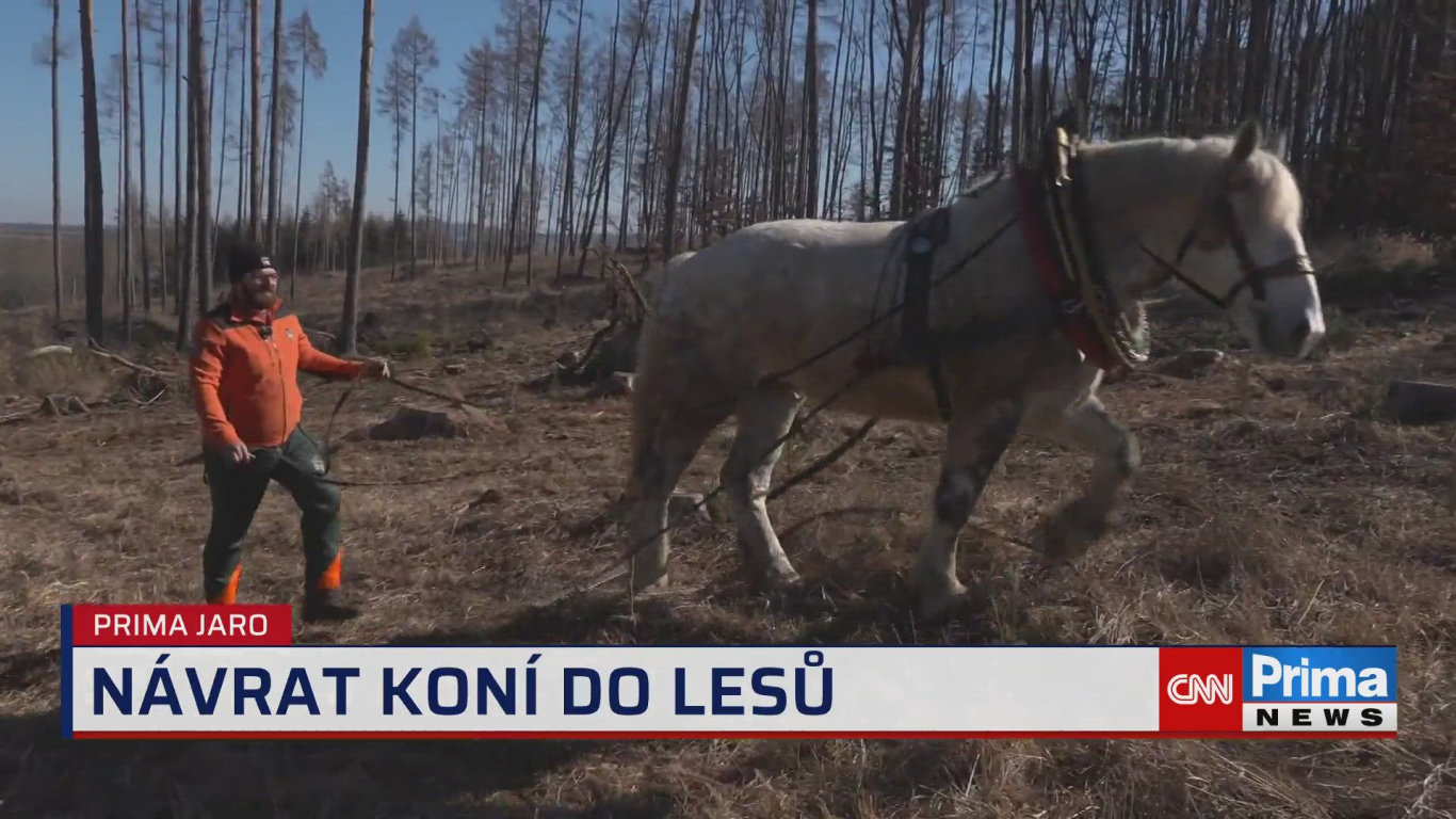 Prima ROK - 3.4. v 15:40 - Prima ROK - CNN Prima NEWS