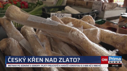 ZPRÁVY Z REGIONŮ, 29.9. v 16:55