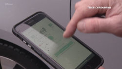 Téma: Carsharing I.část