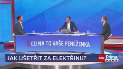 Kam až porostou ceny energií - Čestmír Hrdinka, ředitel poradenského týmu Elena